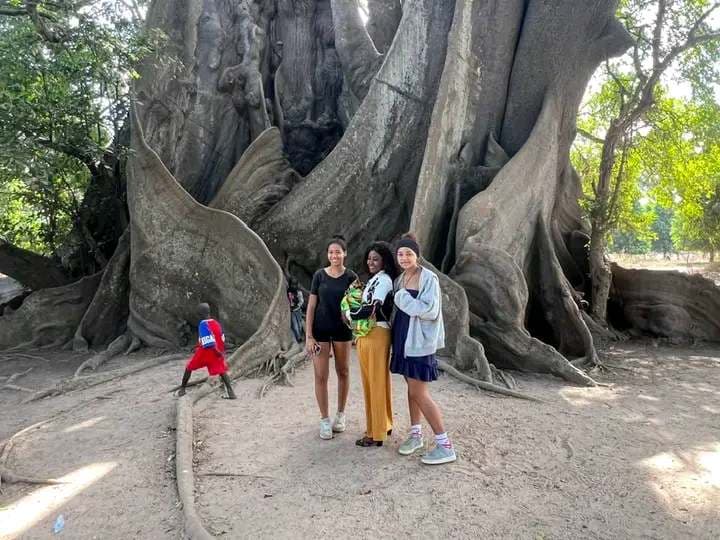 tours in the gambia