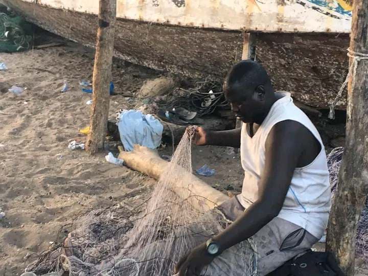 tours in the gambia