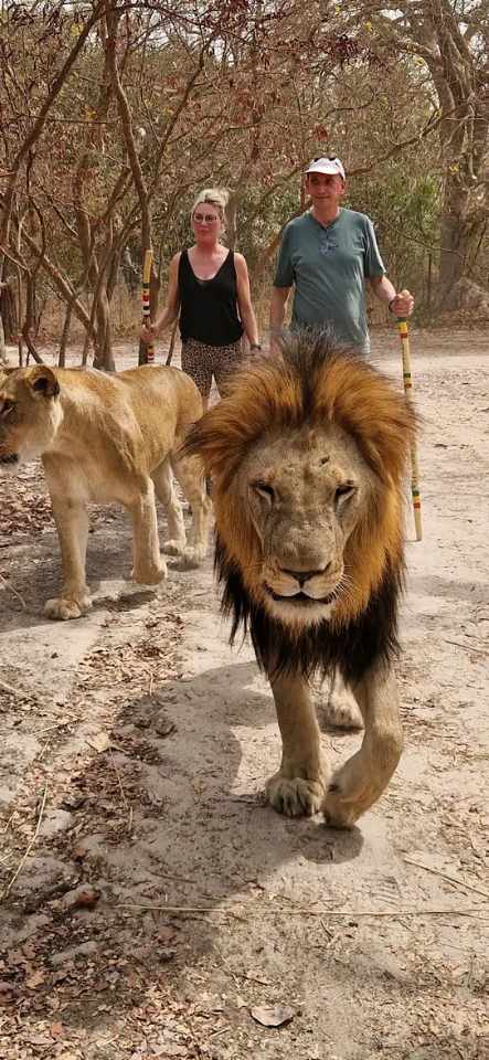tours in the gambia