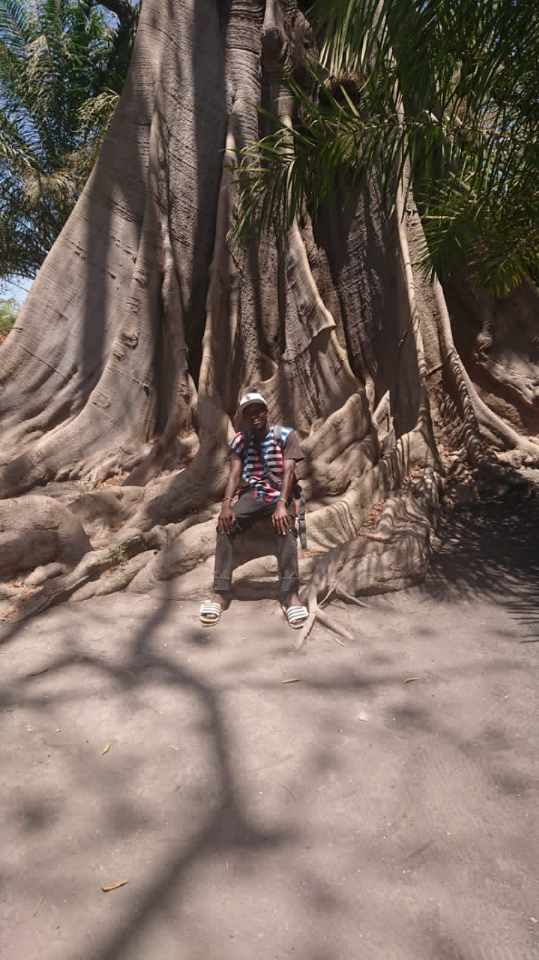 tours in the gambia